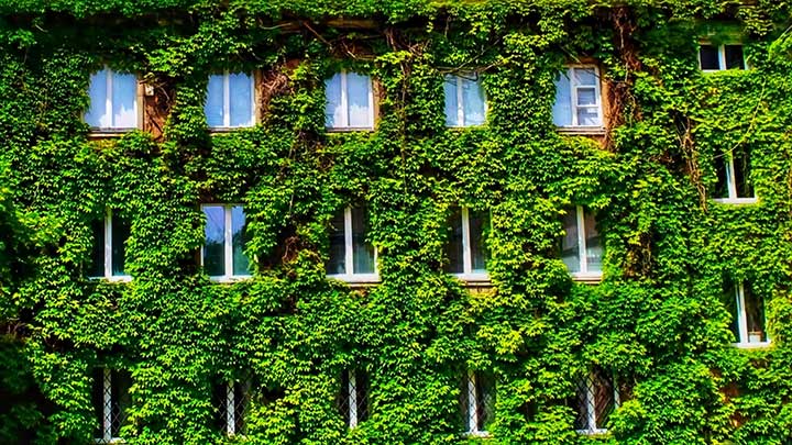 Greener buildings can tackle climate change