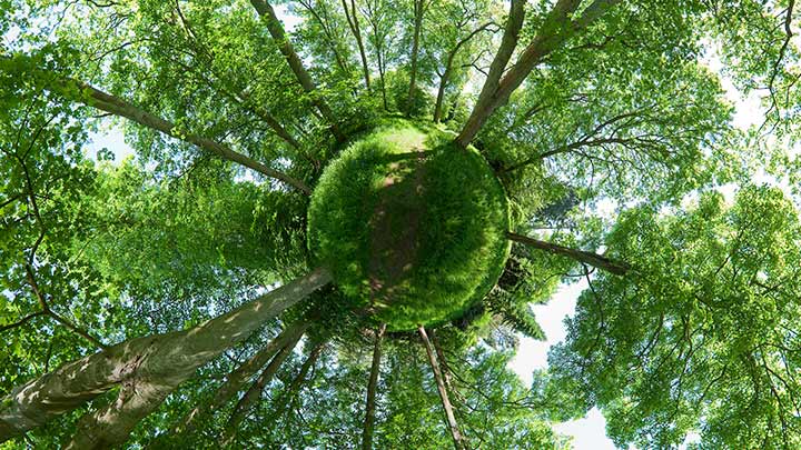 Pequeno planeta verde com árvores