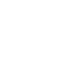 Experiencia global